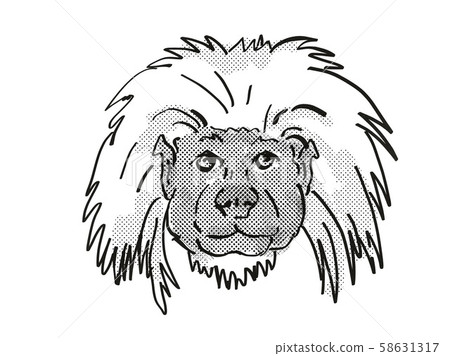 Cottontop Tamarin Endangered Wildlife Cartoon Cottontop Tamarin Endangered Wildlife Cartoon 58631317
