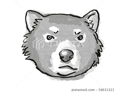 Tasmanian devil Endangered Wildlife Cartoon Retro 58631321