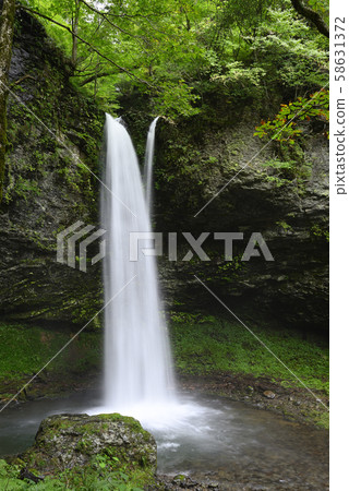 Oshika Falls(鳥取縣若草町廣rod市) Oshika Falls(鳥取縣若草町廣rod市) 58631372