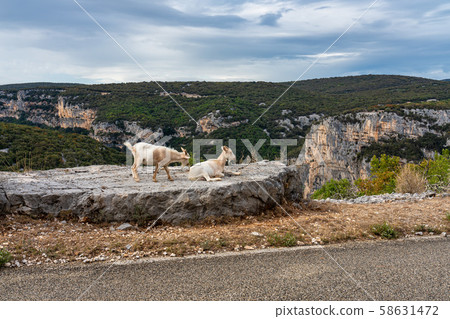 Landscape view around Labastide de Virac in Ardeche, France Landscape view around Labastide de Virac in Ardeche, France 58631472
