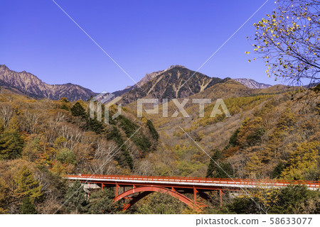 [Yamanashi Prefecture] Kiyosato's Higashizawa Ohashi autumn leaves 58633077