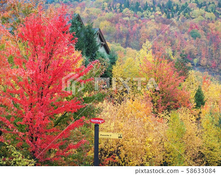Cottage _01 surrounded by autumn leaves of Mont-Tremblant, Quebec, Canada 58633084