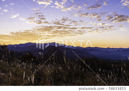 [Yamanashi Prefecture] Yatsugatake / Beautiful Forest 58633853