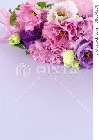 Bouquet of Turkey fennel 58634270