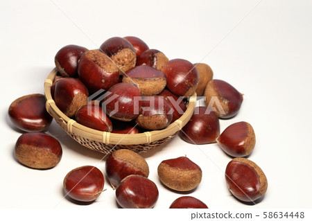Chestnut Chestnut 58634448