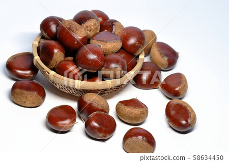 Chestnut Chestnut 58634450