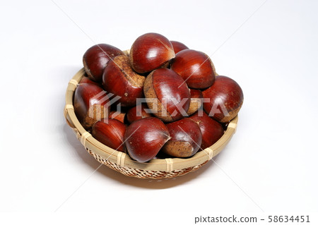 Chestnut Chestnut 58634451