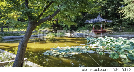 Changdeokgung Palace, Biwon, Jongno-gu, Seoul Changdeokgung Palace, Biwon, Jongno-gu, Seoul 58635330