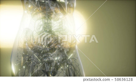 X-Ray Image Of Human Body X-Ray Image Of Human Body 58636128