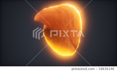 loop 3d rendered medically accurate animation of loop 3d rendered medically accurate animation of 58636146