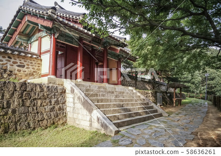 京畿道漣川郡Sungyeonjeon 58636261