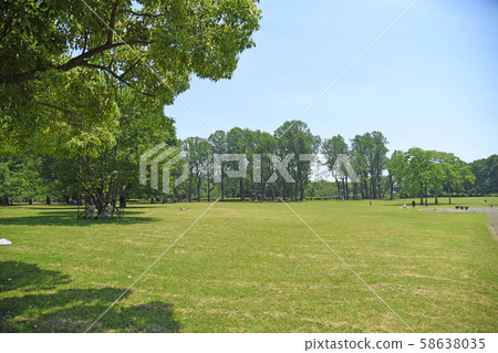 Koganei Park, Koganei Park, Tokyo Koganei Park, Koganei Park, Tokyo 58638035