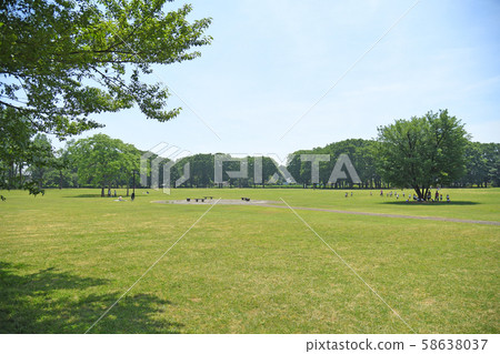 東京小金井公園小金井公園 東京小金井公園小金井公園 58638037