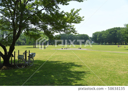 東京小金井公園小金井公園 58638135