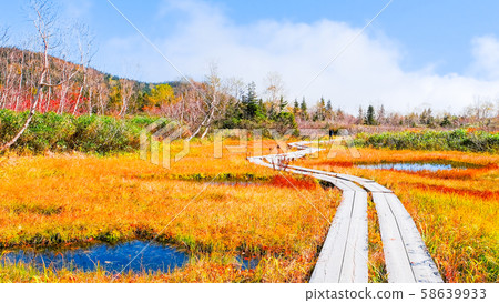 Tsugaike Nature Park (Autumn) Tsugaike Nature Park (Autumn) 58639933