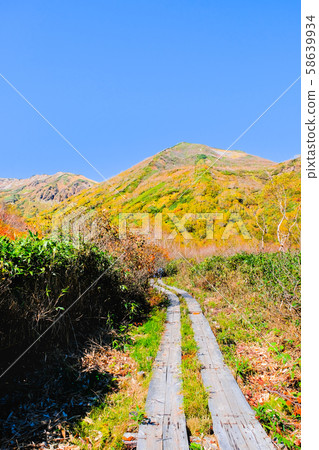Tsugaike Nature Park (Autumn) 58639934