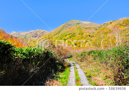 Tsugaike Nature Park (Autumn) 58639936