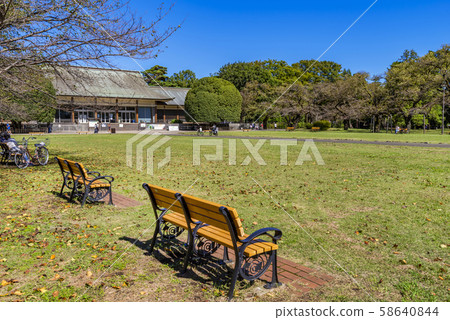 館野公園的小金井公園風景 館野公園的小金井公園風景 58640844