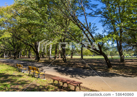 Scenery of Koganei Park Scenery of Koganei Park 58640860