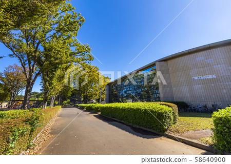 小金井公園市綜合體育館 58640900