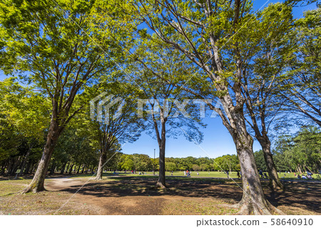 小金井公園的風景 58640910