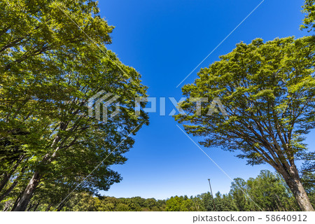 小金井公園的風景 58640912