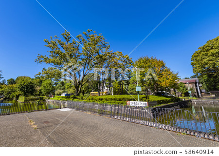 小金井公園和江戶東京的風景 58640914