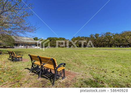 館野公園的小金井公園風景 58640928