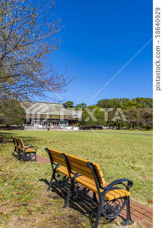 館野公園的小金井公園風景 58640929