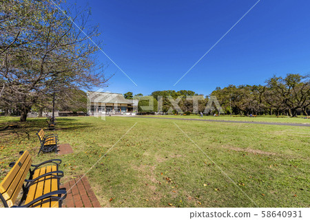 Koganei Park Scenery of Tatemono Park 58640931