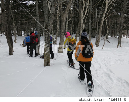 Winter Shiretoko Five Lakes Eco Tour (Scenery strolling through the primeval forest between Field House and Five Lakes with snowshoe) Winter Shiretoko Five Lakes Eco Tour (Scenery strolling through the primeval forest between Field House and Five Lakes with snowshoe) 58641148
