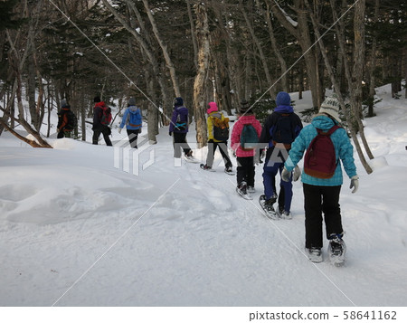 Winter Shiretoko Five Lakes Eco Tour (Scenery strolling through the primeval forest between Five Lakes and Four Lakes with snowshoe) 58641162