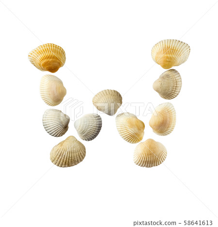 Letter "w" composed from seashells, isolated on white background 58641613