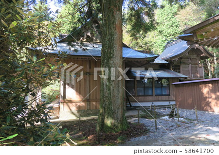 Worship hall and main hall of Nishiteru Shrine, Mima City, Tokushima Prefecture 58641700