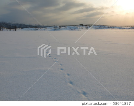 One lake of Shiretoko Goko covered in snow (taken during the winter Shiretoko Goko Eco Tour) One lake of Shiretoko Goko covered in snow (taken during the winter Shiretoko Goko Eco Tour) 58641857