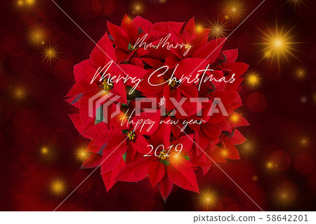 紅色，紅色，聖誕節紅色，聖誕節，賀卡，聖誕節 58642201