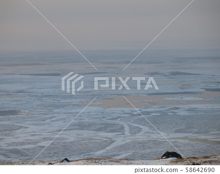 Sea of Okhotsk drift ice seen from the top of a hill near Lake Shiretoko Five Lakes (taken during the winter Shiretoko Five Lake Eco Tour) Sea of Okhotsk drift ice seen from the top of a hill near Lake Shiretoko Five Lakes (taken during the winter Shiretoko Five Lake Eco Tour) 58642690