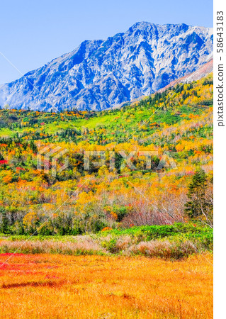 Tsugaike Nature Park (Autumn) 58643183