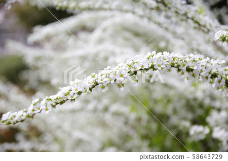 繡線 58643729
