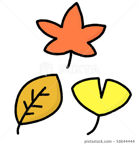 Autumn leaves, maple, ginkgo, fallen leaves,... - Stock Illustration ...