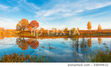 Amazing autumn landscape, forest and sky reflected in water. 58644632