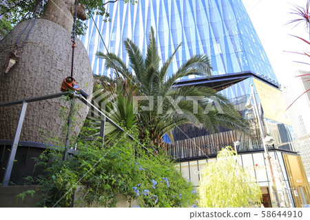 中央區銀座風景 中央區銀座風景 58644910