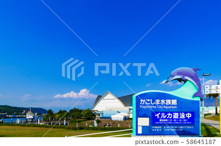 Kagoshima Aquarium Landscape, Kagoshima Aquarium, Appearance, Io World Landmark Tourist Sightseeing Spot 58645187