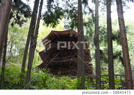20191006_Nagano_Ueda City `` Anrakuji Temple 58645471