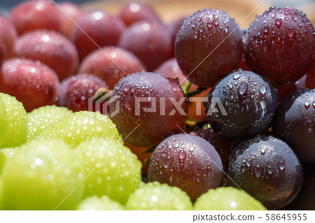 Grape (assorted sizzle) Pione 58645955