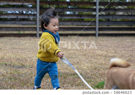 Naughty Toddler and Shiba Inu Naughty Toddler and Shiba Inu 58646023