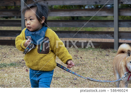 Naughty Toddler and Shiba Inu Naughty Toddler and Shiba Inu 58646024