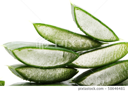 Aloe vera plant Aloe vera plant 58646481