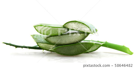 Aloe vera plant Aloe vera plant 58646482