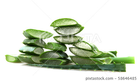 Aloe vera plant Aloe vera plant 58646485
